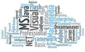 Survey reveals positive results for IT professionals